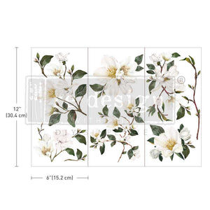 White Magnolia - Small Transfer - 3 sheets