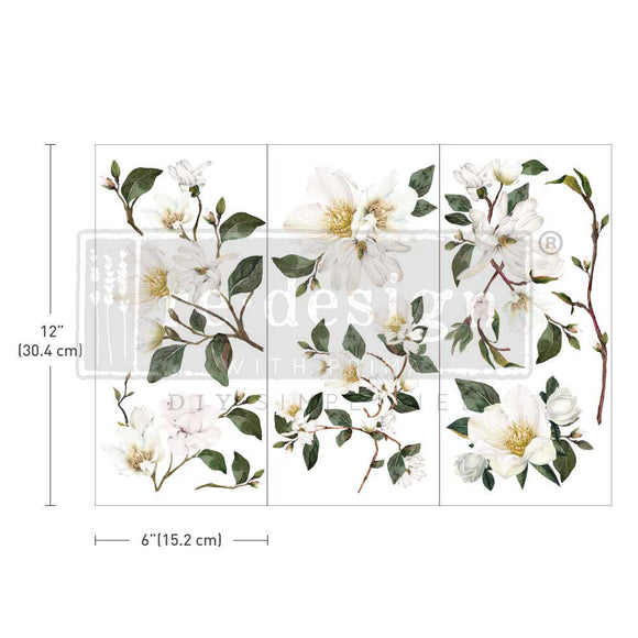 White Magnolia - Small Transfer - 3 sheets